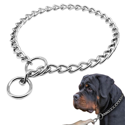 Dog training choke chain - dog,