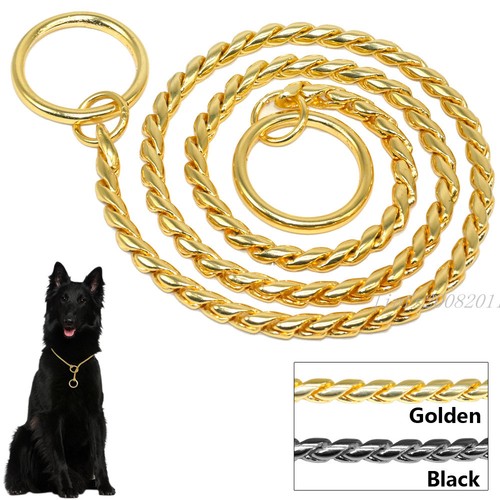 Gold snake chain - snake, collar