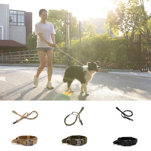 Tactical dog collar and - tactical,