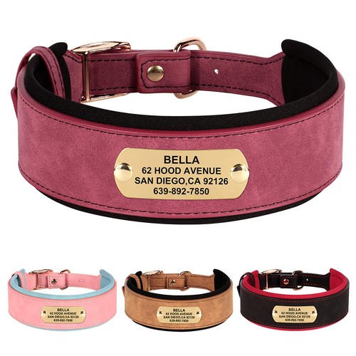Wide personalized dog collars - dog,