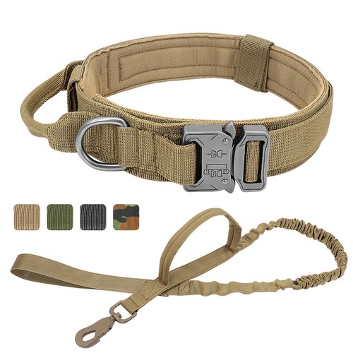 Tactical dog collar - dog, and