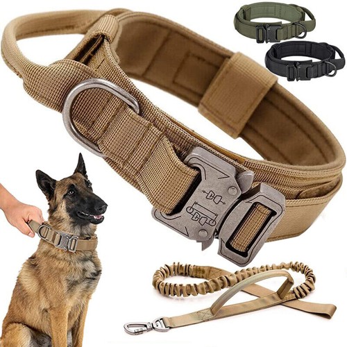 Tactical military dog training - military,