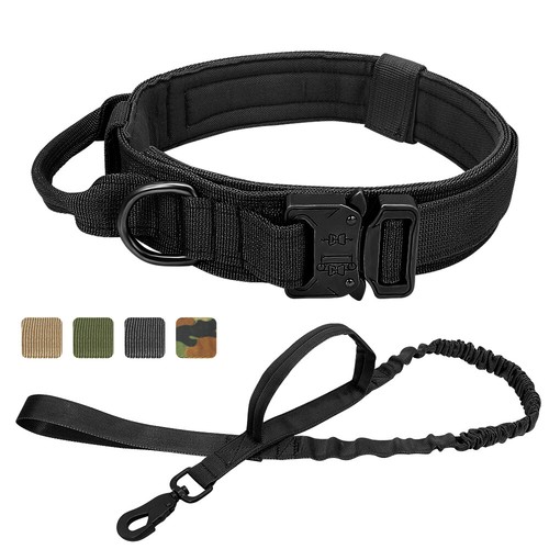 Tactical dog collar - dog, with