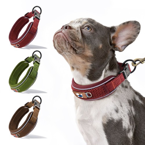 Reflective personalized dog - reflective,