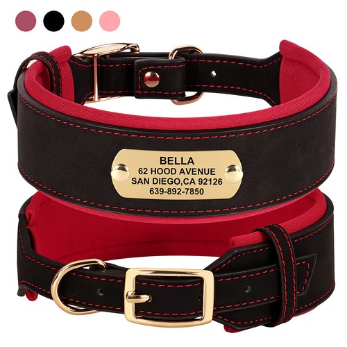 Personalized wide leather dog - personalized,