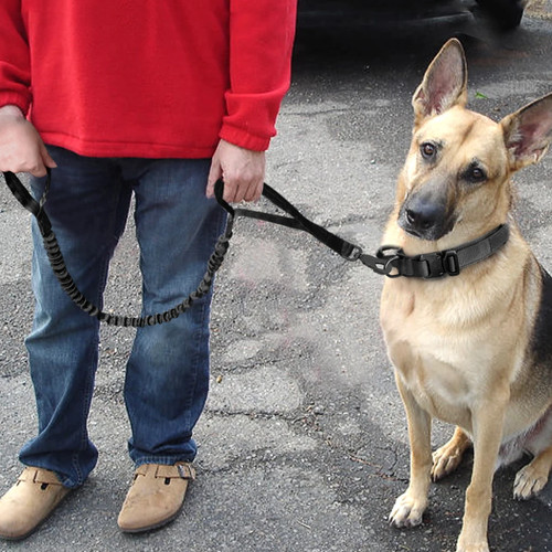 Tactical dog collar handle - tactical,