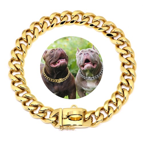 Luxury metal chain dog - luxury,