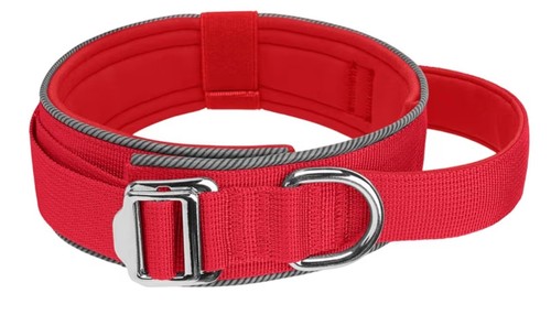 Adjustable dog collar - dog,