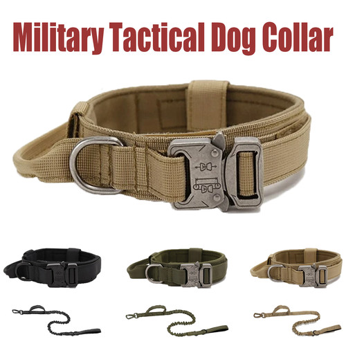 Military tactical dog - military, collar