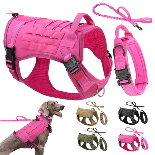 Tactical dog - tactical,