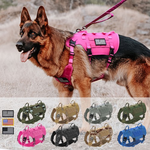 5pcs tactical dog - tactical,