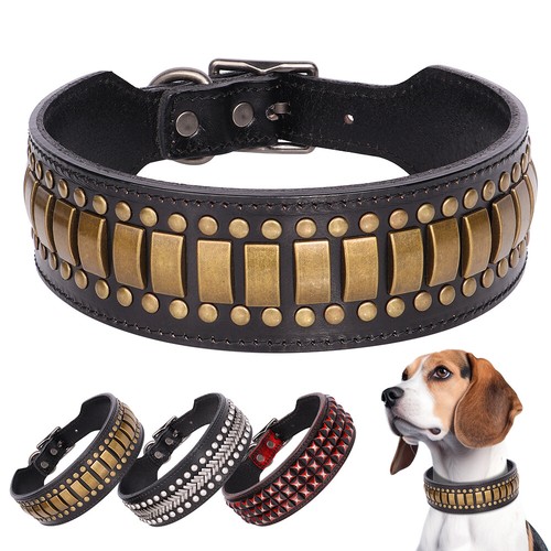 Studded leather dog collars - studded,