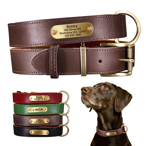 Soft genuine leather dog - soft,
