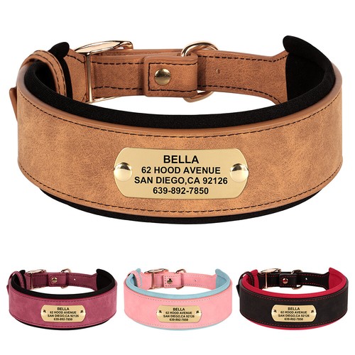 Wide leather personalized dog - leather,