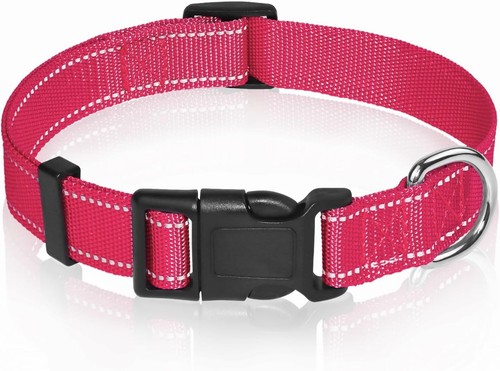 Reflective dog collar - dog,