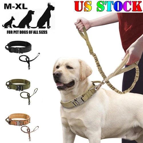Tactical military dog - military, training