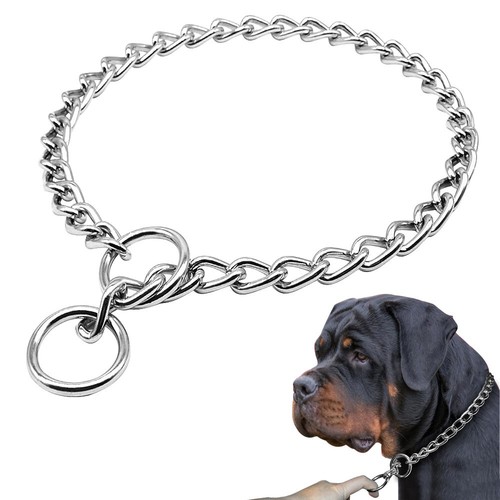 Dog training choke - dog,
