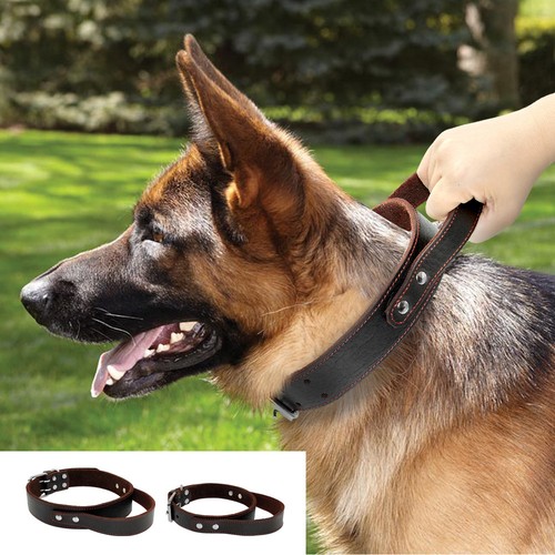 Dog training collars leather - dog,
