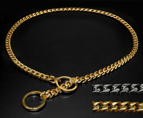 Dog show collar luxury - show,