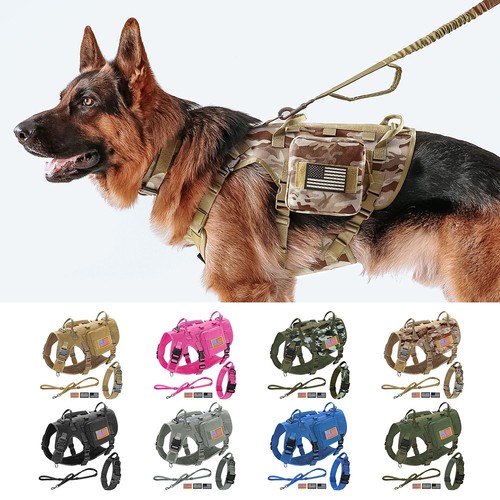 Tactical dog - tactical,