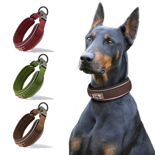 Personalized dog collar wide - dog,