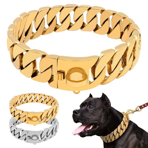 Heavy duty gold choker dog - heavy,
