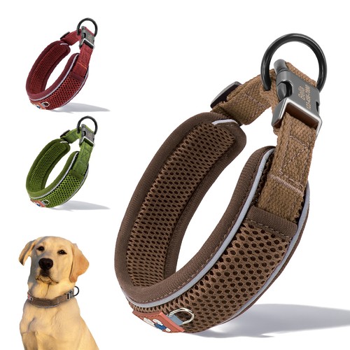 Personalized dog collar - dog,