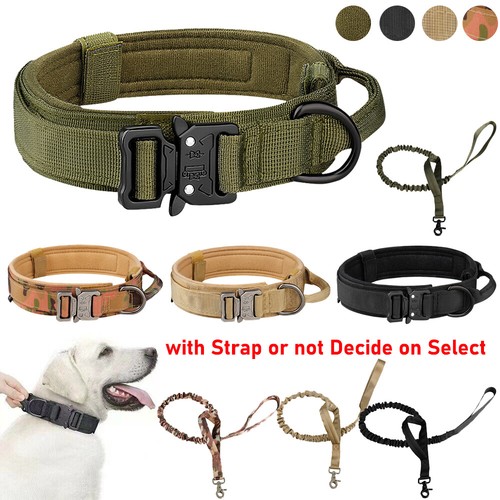 Tactical dog collar - dog,